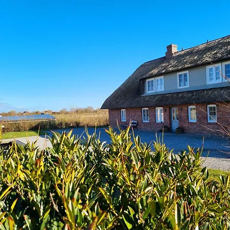 Knudsen Emmelsbull-Horsbull