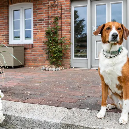 Apartman Knudsen Emmelsbüll-Horsbüll